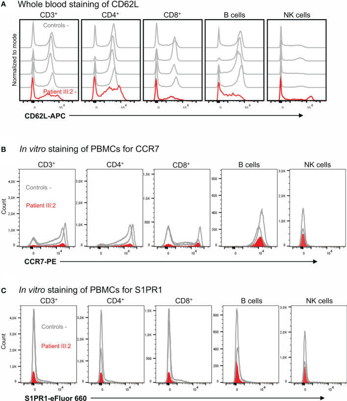 Figure 4