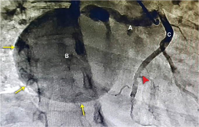 Figure 2.