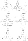 Scheme 3