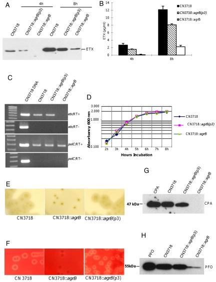 FIG 2 