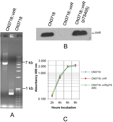 FIG 6 