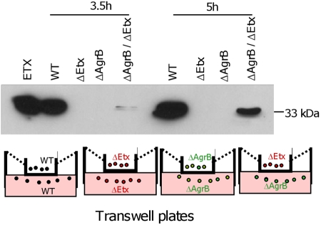 FIG 4 