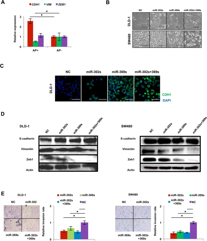 Fig 6