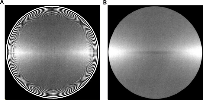 Figure 3—figure supplement 3.