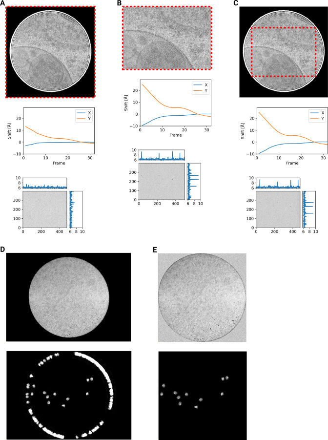 Figure 3—figure supplement 1.