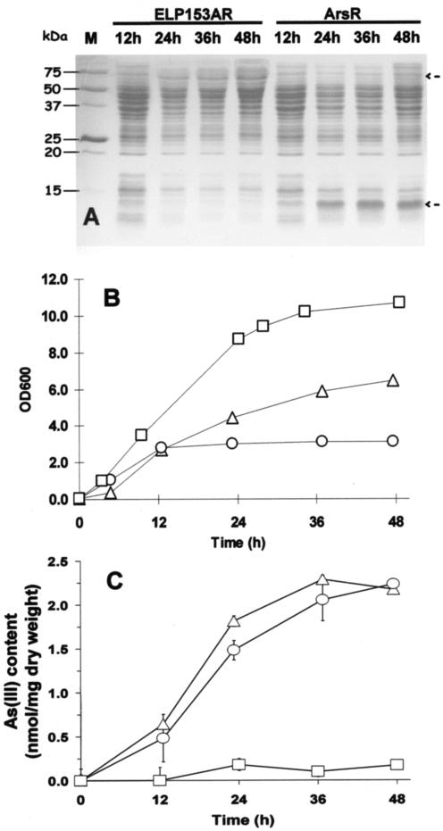 FIG. 2.