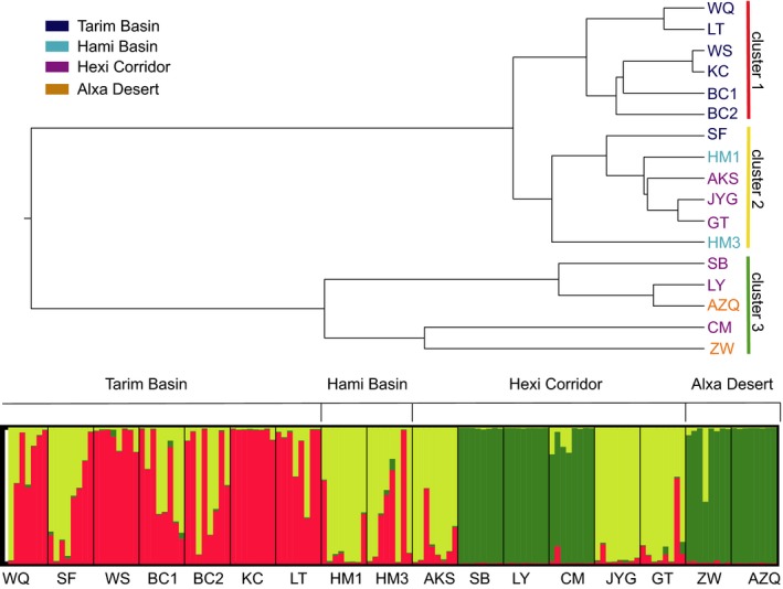 Figure 4