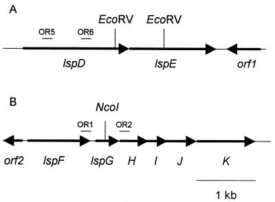 FIG. 1