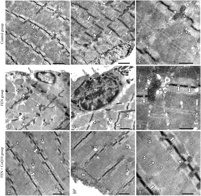 Fig. 5
