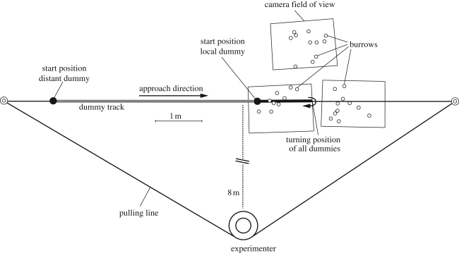 Figure 1.