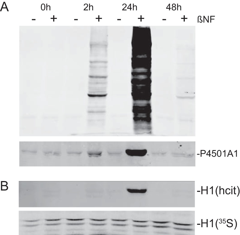 FIGURE 9.