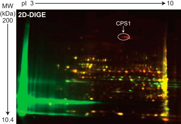 FIGURE 1.