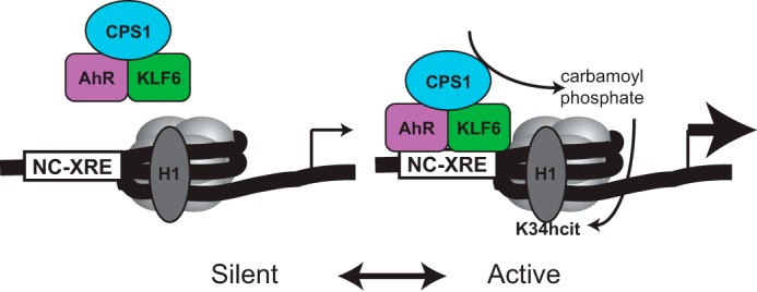 FIGURE 10.