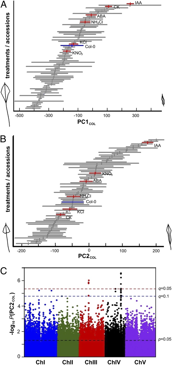 Fig. 2.