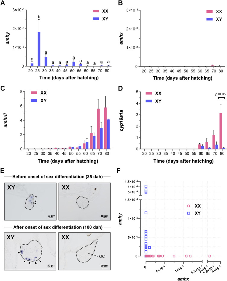 FIGURE 3