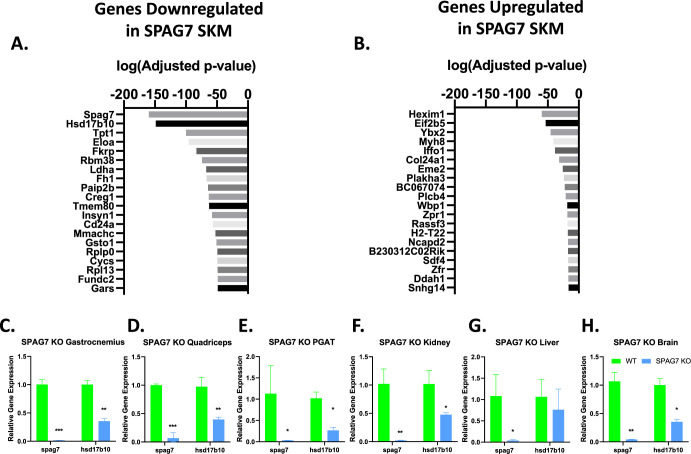 Figure 3—figure supplement 2.