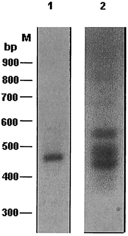 FIG. 9.