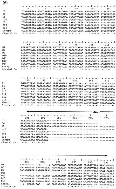 FIG. 11.