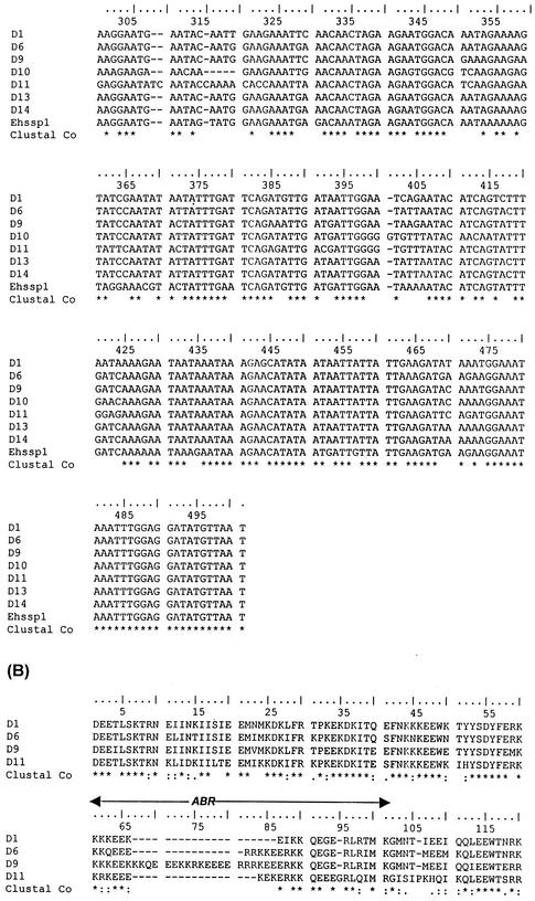 FIG. 11.