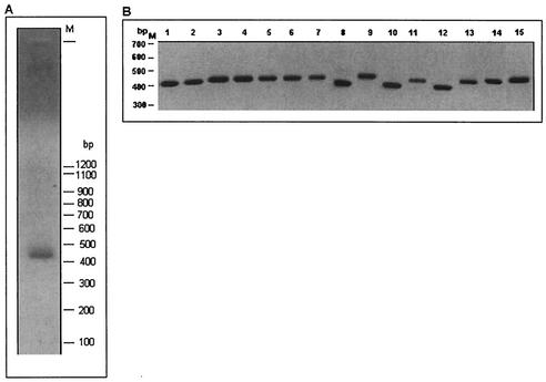 FIG. 10.