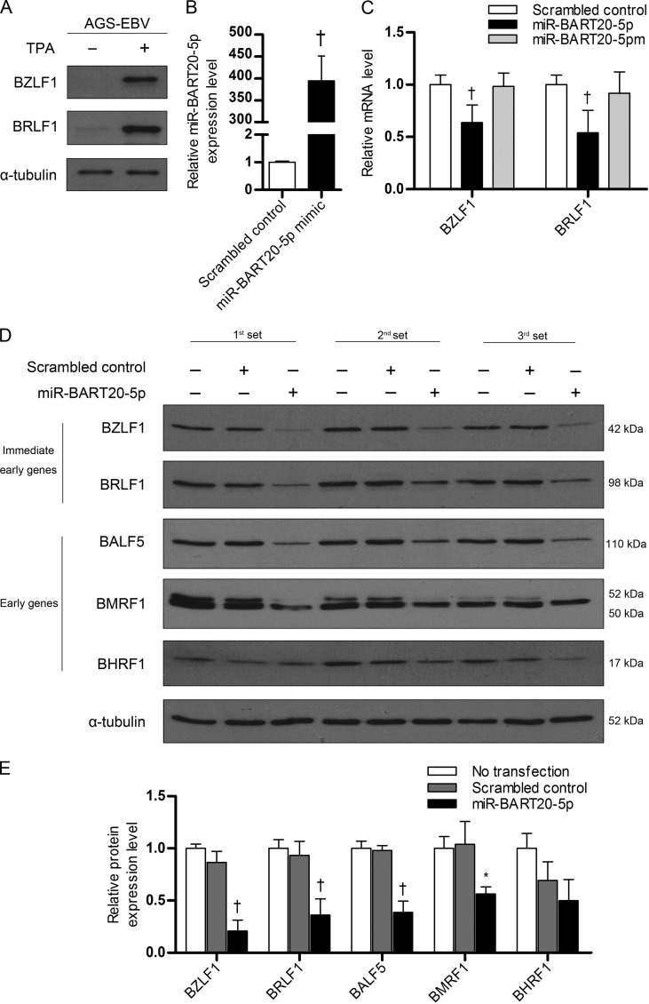 FIG 4