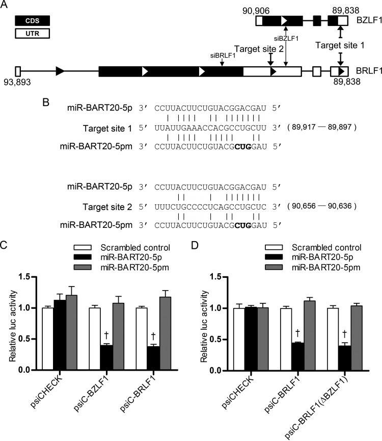 FIG 2