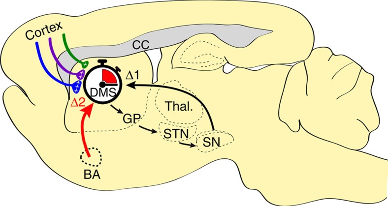 Figure 10