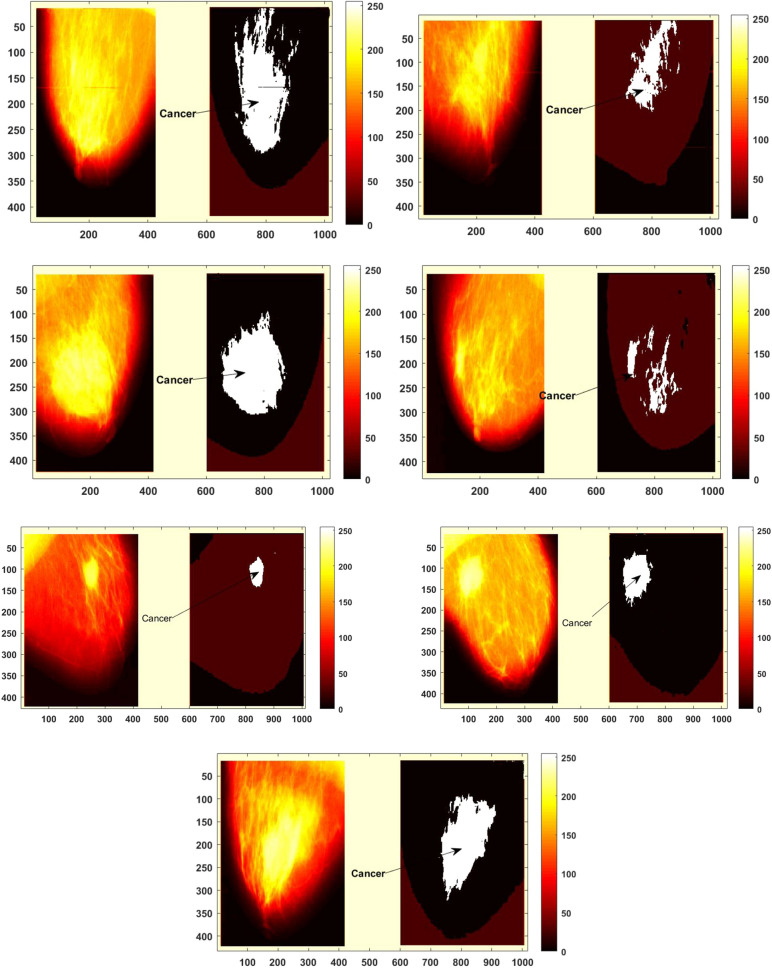 Figure 12