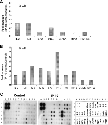 FIG. 6.