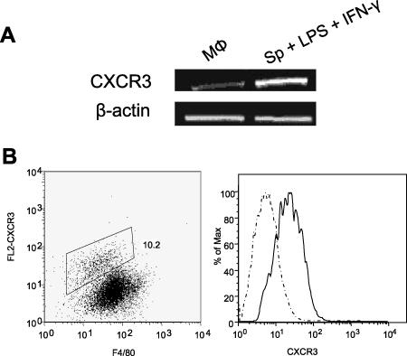 FIG. 1.