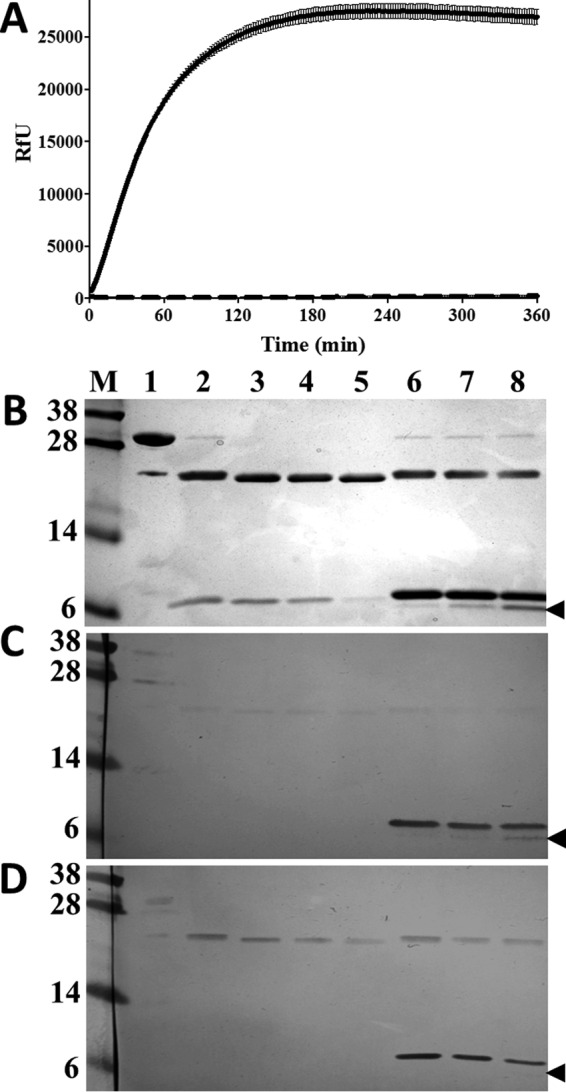 FIGURE 6.