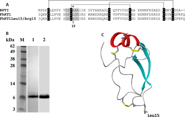 FIGURE 2.