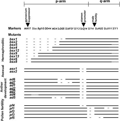 Figure 3.—