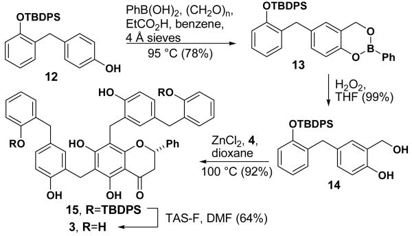 Scheme 4