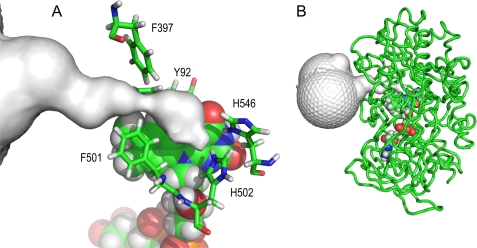 FIGURE 1.