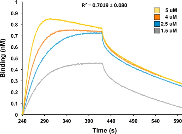 FIGURE 2.