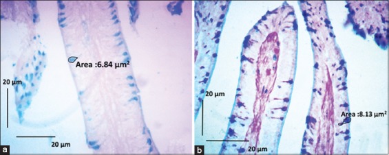 Figure-2