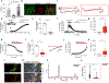 Extended Data Figure 6: