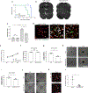 Extended Data Figure 8: