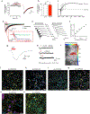 Extended Data Figure 5: