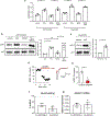 Extended Data Figure 3: