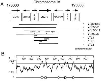 FIG. 1