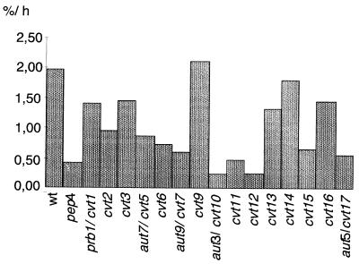 FIG. 5