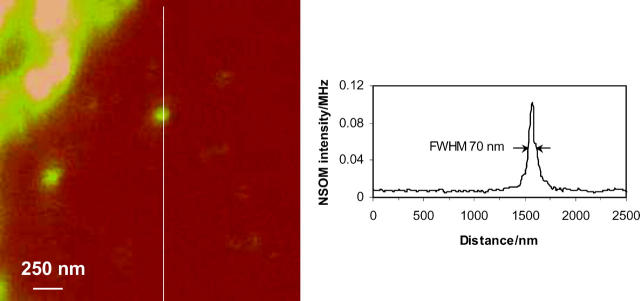 FIGURE 3