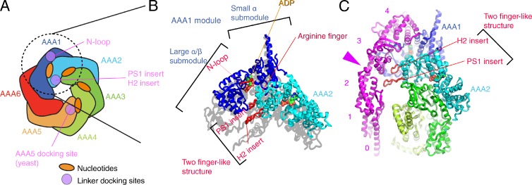 Figure 4.