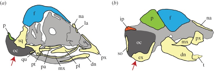 Figure 5.