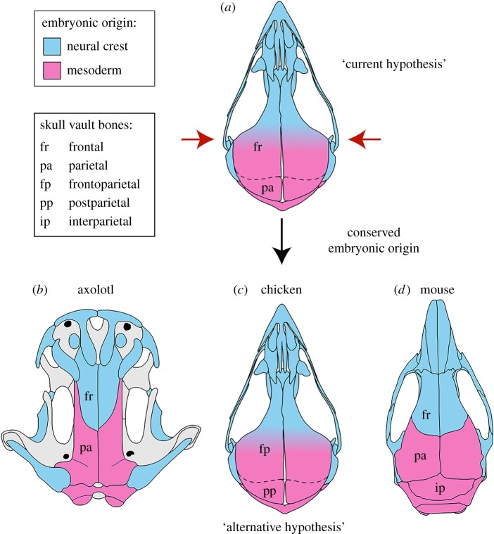 Figure 4.