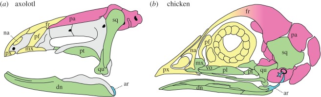 Figure 2.