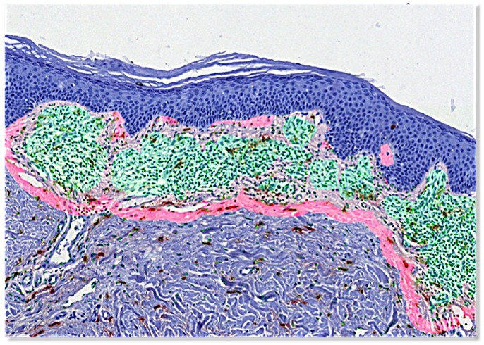 Fig 3