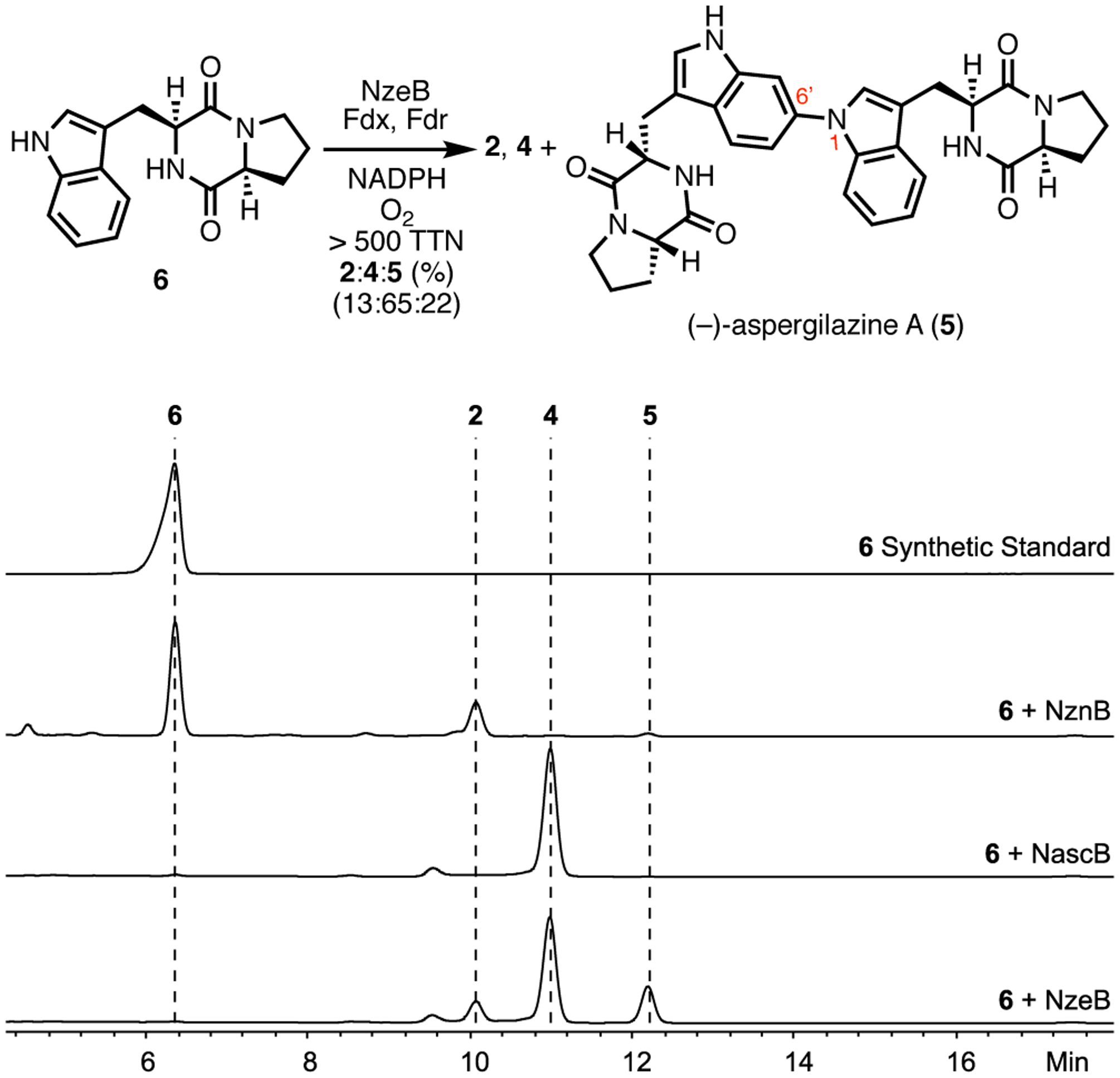 Figure 4.